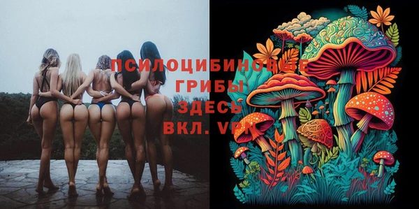 дживик Балабаново