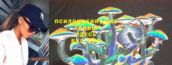 дурь Балахна