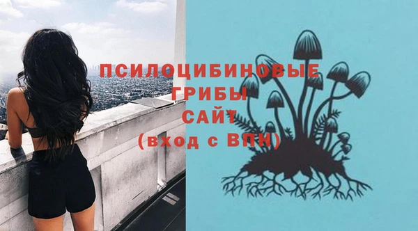 дурь Балахна